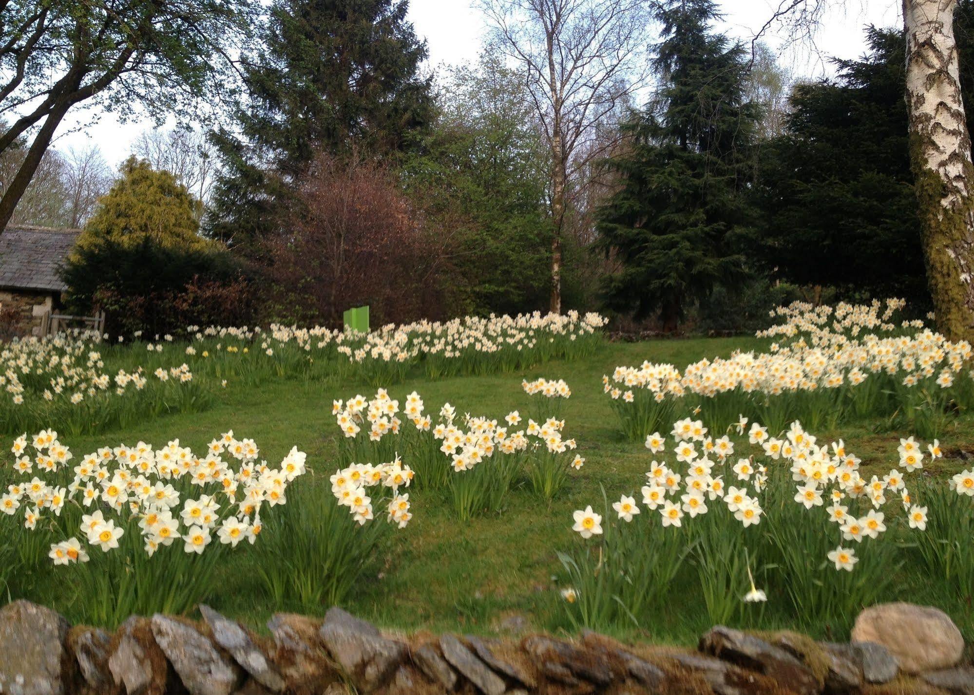 May Cottage B&B Bowness-on-Windermere Kültér fotó